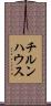 チルンハウス Scroll