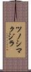 ツノシマクジラ Scroll