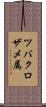 ツバクロザメ属 Scroll