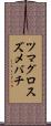 ツマグロスズメバチ Scroll