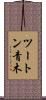 ツートン青木 Scroll