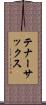 テナー・サックス Scroll