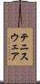 テニスウェア Scroll