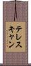 テレスキャン Scroll
