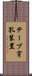 テープ穿孔装置 Scroll