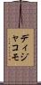 ディジャコモ Scroll