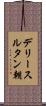 デリースルタン朝 Scroll
