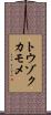 トウゾクカモメ Scroll