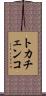 トカチェンコ Scroll