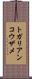 トガリアンコウザメ Scroll