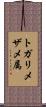 トガリメザメ属 Scroll