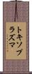 トキソプラズマ Scroll