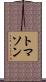 トマソン Scroll