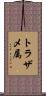 トラザメ属 Scroll