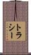 トラシー Scroll