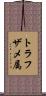 トラフザメ属 Scroll