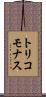 トリコモナス Scroll