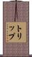 Tripp Scroll