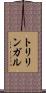 トリリンガル Scroll