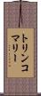 トリンコマリー Scroll