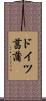 ドイツ菖蒲 Scroll