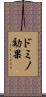 ドミノ効果 Scroll