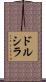 Drusilla Scroll