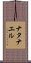 Natanael Scroll
