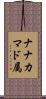 ナナカマド属 Scroll