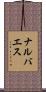 Narvaez Scroll