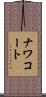ナワコート Scroll