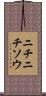 ニチニチソウ Scroll