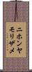 ニホンヤモリザメ Scroll
