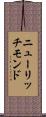 ニューリッチモンド Scroll