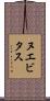 ヌエビタス Scroll