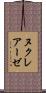 ヌクレアーゼ Scroll