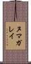 ヌマガレイ Scroll