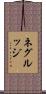 ネグルッジ Scroll