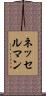ネッセルマン Scroll