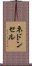 ネドンセル Scroll