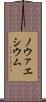 ノウァエシウム Scroll