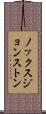 ノックスジョンストン Scroll