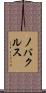 ノバクルス Scroll