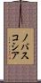 ノバスコシア Scroll
