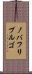 ノバフリブルゴ Scroll