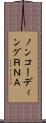 ノンコーディングＲＮＡ Scroll