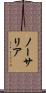 Norsalia Scroll