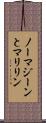 ノーマジーンとマリリン Scroll