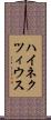 ハイネクツィウス Scroll