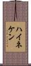 ハイネケン Scroll